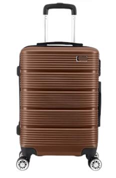 Spinner Luggage