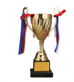 Customizable PVC & ABS Gold-Plated Plastic Trophies Gold Silver Bronze Champion Mobilization Lectures Awards