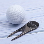 Magnetic Divot Repair with Ball Marker